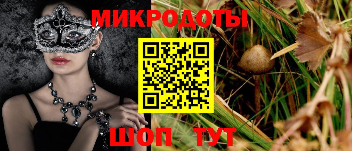 Орск  Псилоцибиновые грибы Psilocybe  Вход с VPN 