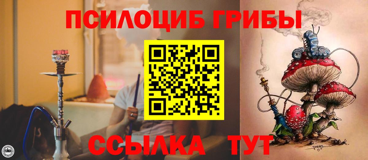 Псилоцибиновые грибы мицелий Орск